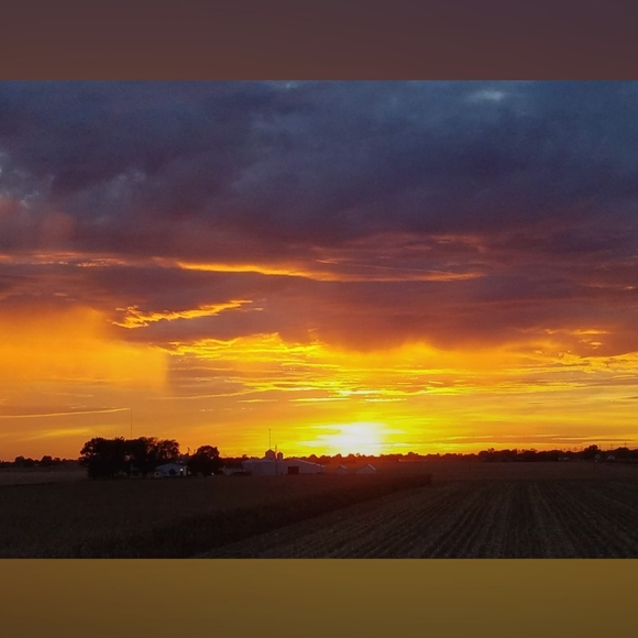 Meet your Posher, Kristy - Picture 2 of 3